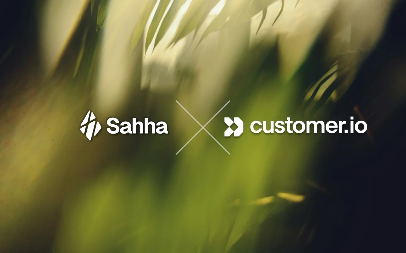 Enrich Customer.io Profiles with Health and Wearable Data Using Sahha