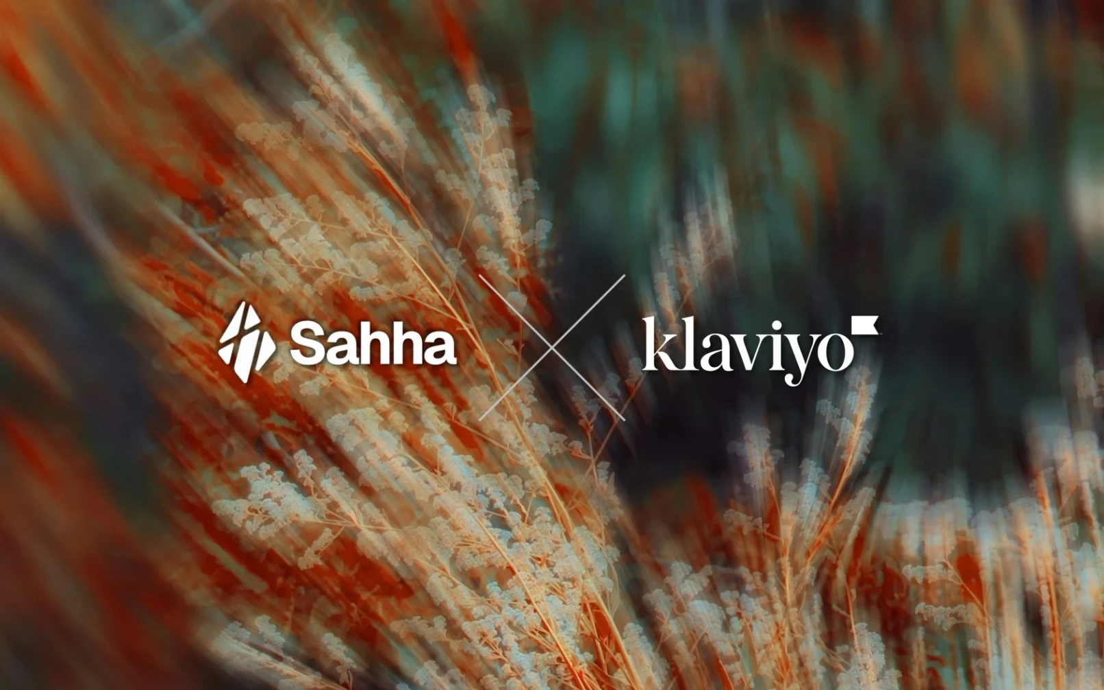 Enrich Klaviyo Profiles with Health and Wearable Data Using Sahha